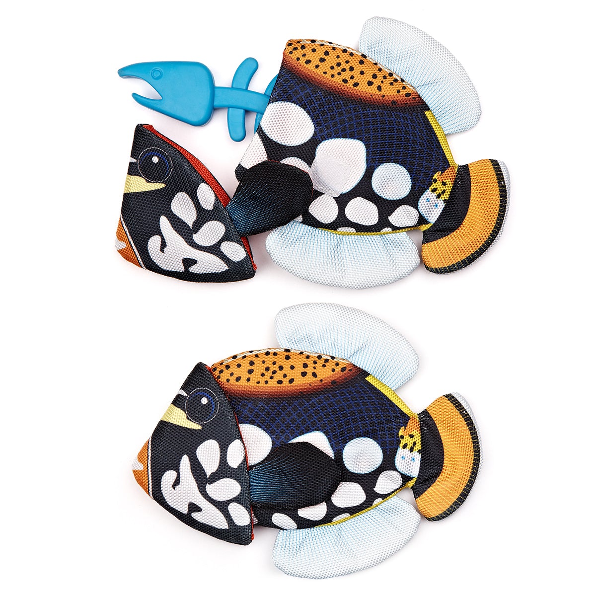 Tropical Crinkle + Bone Emperor Angelfish