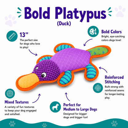Bold Buddies Dog Toy Collection