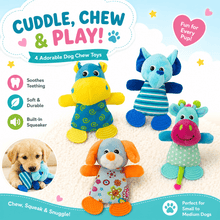 10" Soft Dog Toy Collection