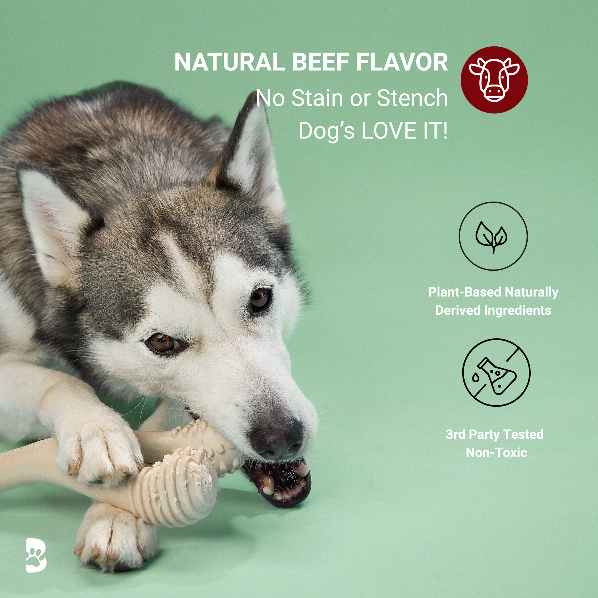 BetterBone Moderate beef-flavored dog chew toy from BetterBone All Natural Eco-Friendly Dog Chews & Bones, designed for dogs to chew and play.
