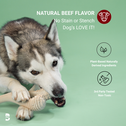 BetterBone Moderate beef-flavored dog chew toy from BetterBone All Natural Eco-Friendly Dog Chews & Bones, designed for dogs to chew and play.