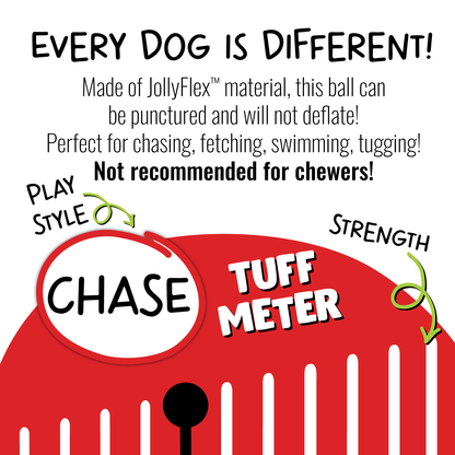 Jolly Pet Tug-n-Toss Dog Toy
