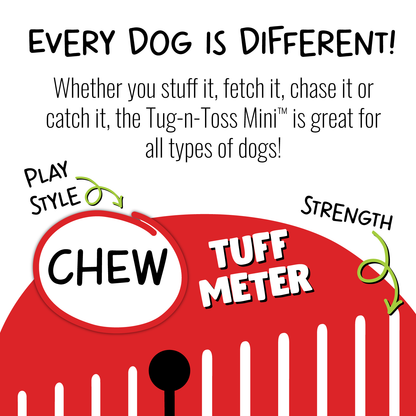 Tug-n-Toss Mini Dog Toy