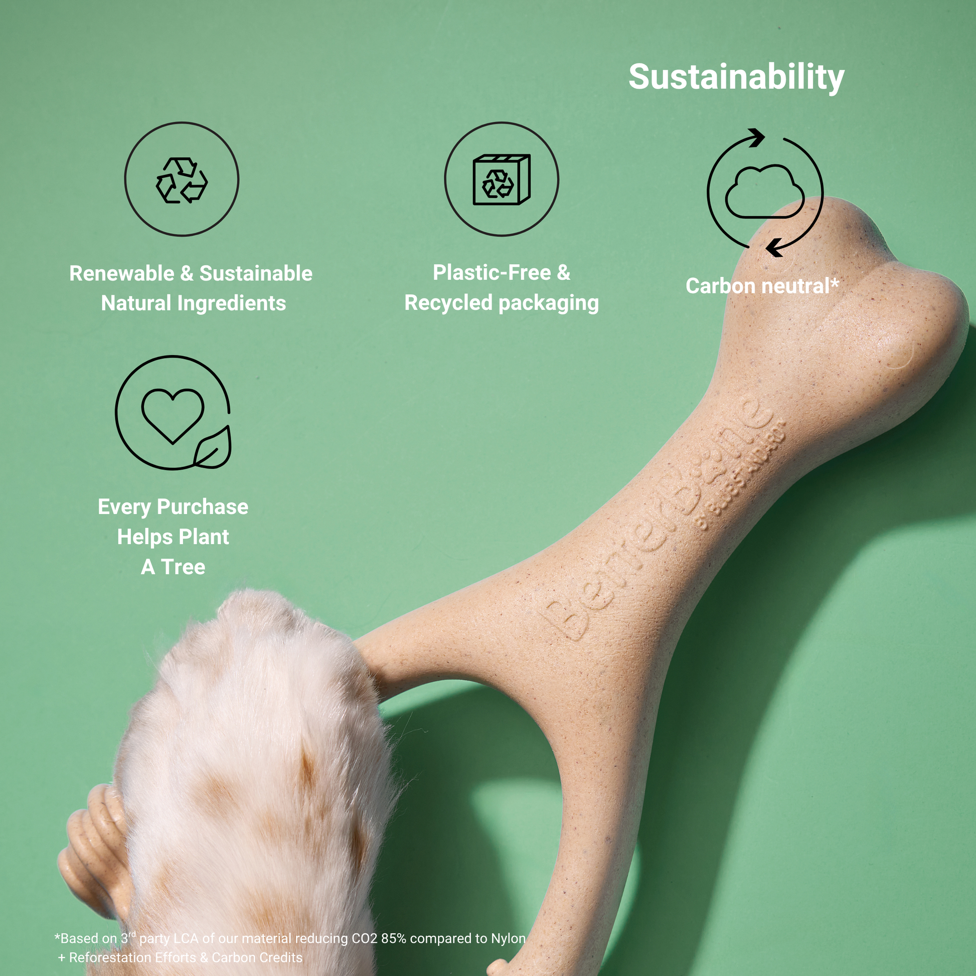 Medium-sized BetterBone Moderate Chew Toy for dogs, made from eco-friendly, all-natural materials for durable play and dental health.