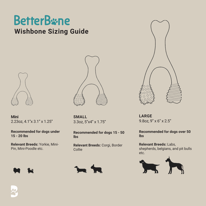 BetterBone Moderate dog chew toy in size guide image, showcasing eco-friendly, natural dog toys and bones from BetterBone brand.