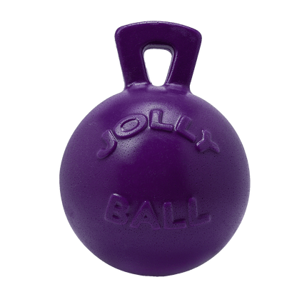 Jolly Pet Tug-n-Toss Dog Toy