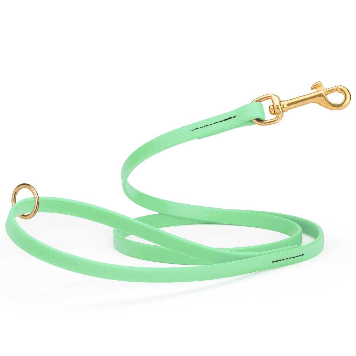 Biothane Working Dog Lead 6ft