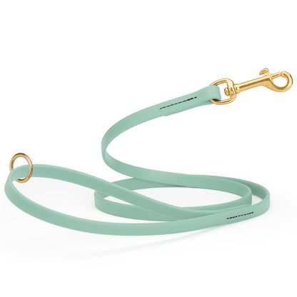 Biothane Working Dog Lead 4ft