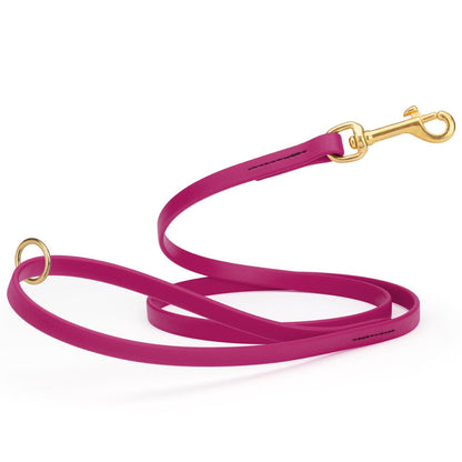 Biothane Working Dog Lead 4ft