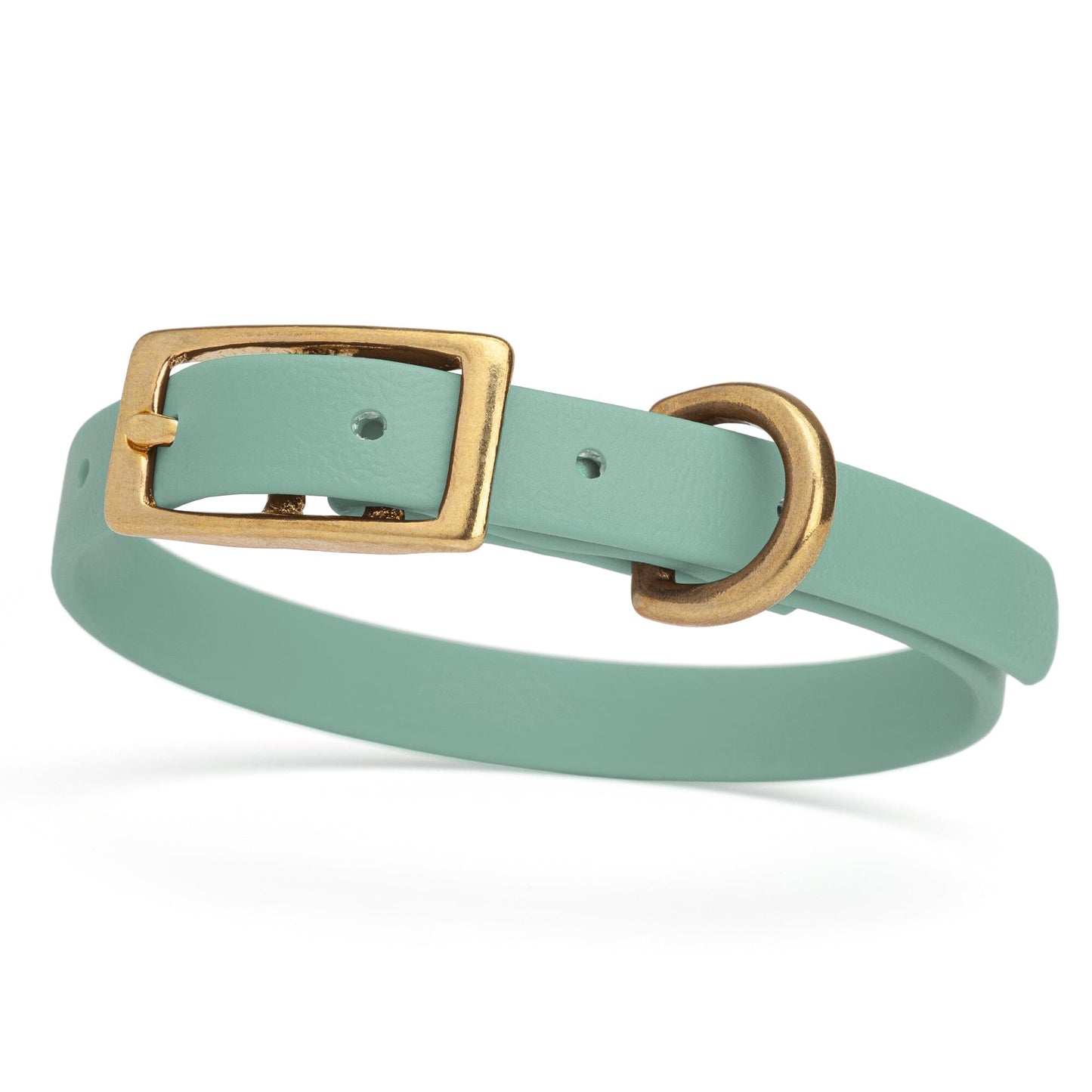 BioThane Waterproof Dog Collar - XS: L 9"-12" x W 1/2" - Black OR Brass Hardware