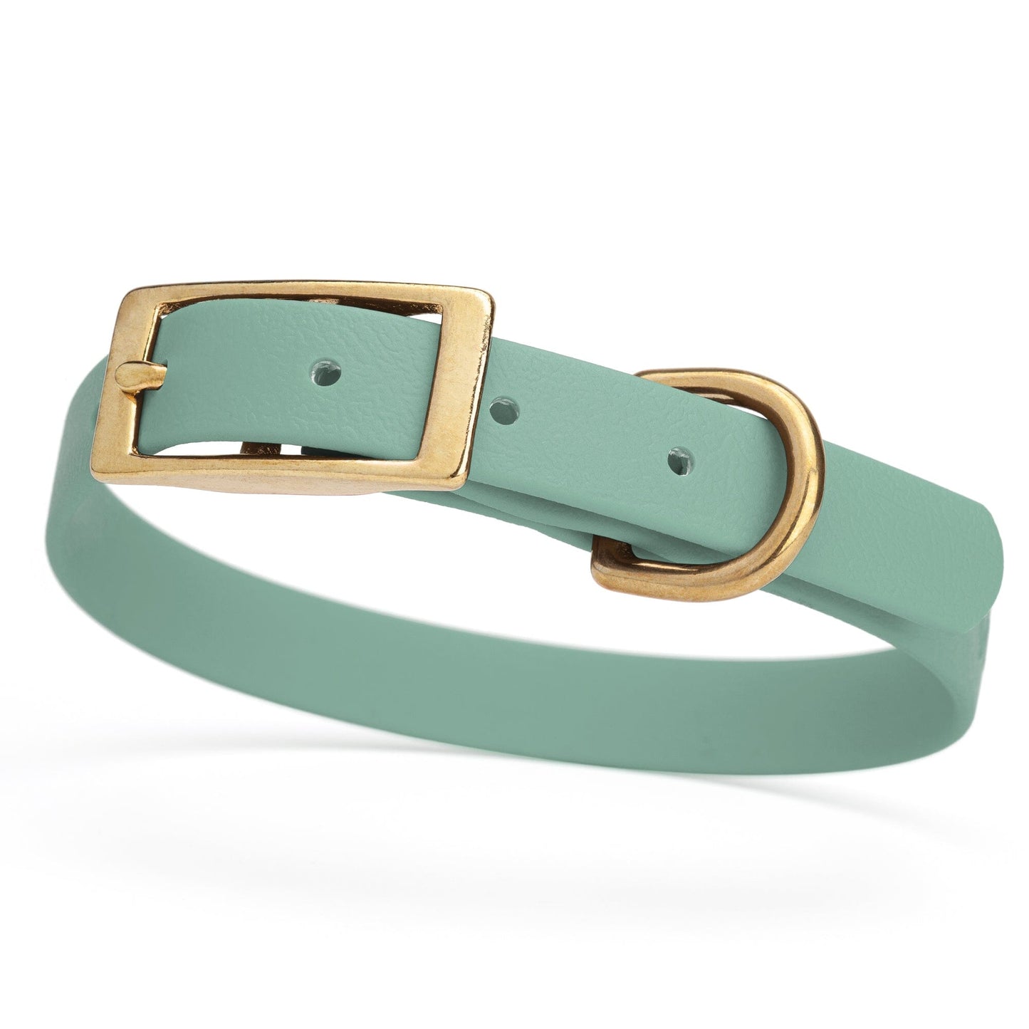 BioThane Waterproof Dog Collar - XS: L 12"-15" x W 5/8" - Black OR Brass Hardware