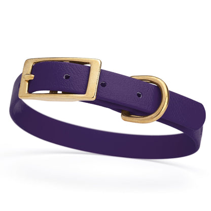 BioThane Waterproof Dog Collar - XS: L 12"-15" x W 5/8" - Black OR Brass Hardware