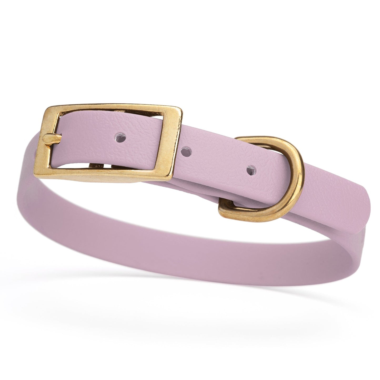 BioThane Waterproof Dog Collar - XS: L 12"-15" x W 5/8" - Black OR Brass Hardware