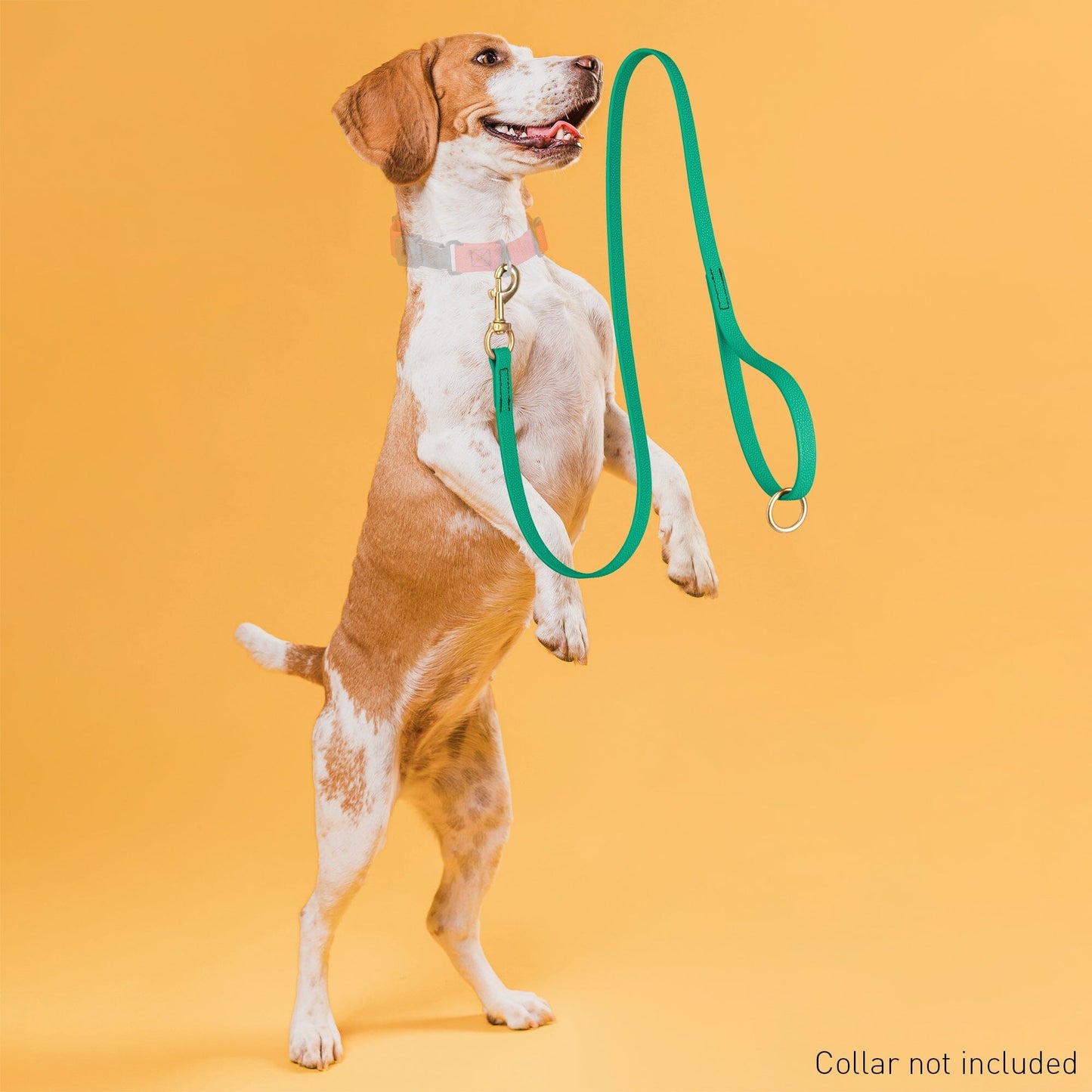 Viper Pebble Emboss BioThane Dog Leash with Solid Brass Hardware
