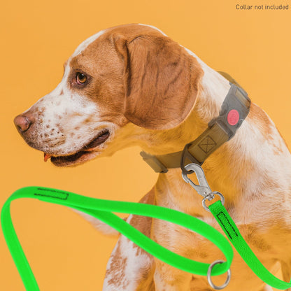 Viper Pebble Emboss Biothane Dog Leash with SPRENGER Stainless Steel Hook