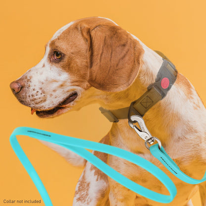 Viper Long Line 33 ft Biothane Dog Lead with SPRENGER Stainless Steel Hook