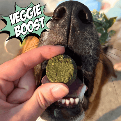 Fish & Veggie Variety Pack Dog Treats