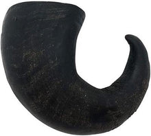 Wild Eats Water Buffalo Horn Dog Chew - Med