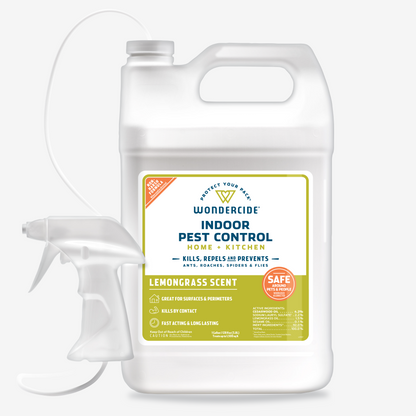 Indoor Pest Control for Home + Kitchen