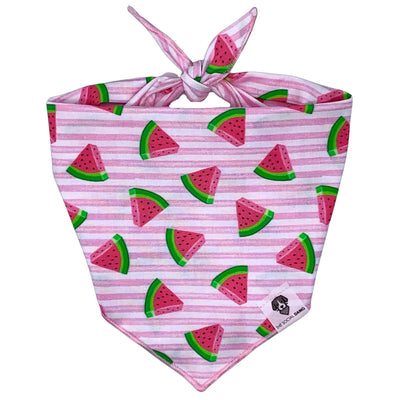 Watermelon Dog Bandana.