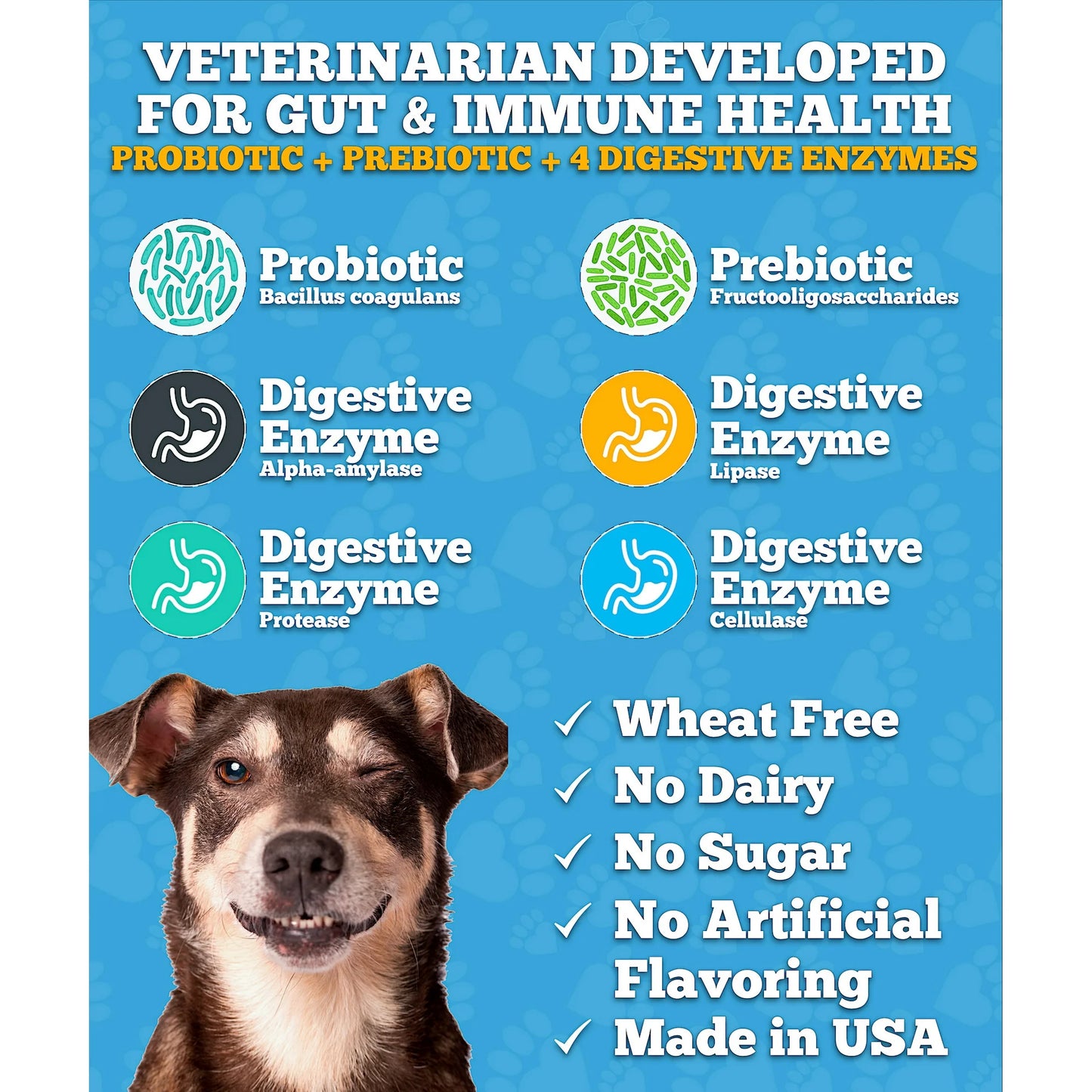 Well Loved Probiotics for Dogs, Dog Probiotics and Digestive Enzymes Supplement