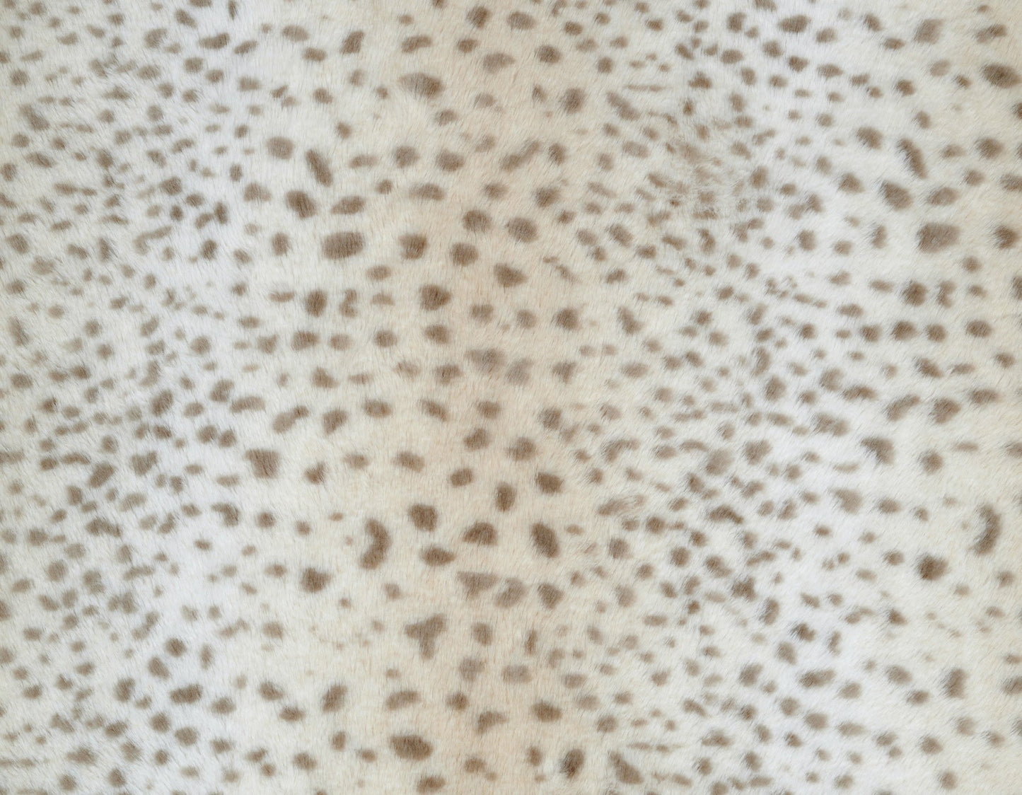 Cheetah Blanket