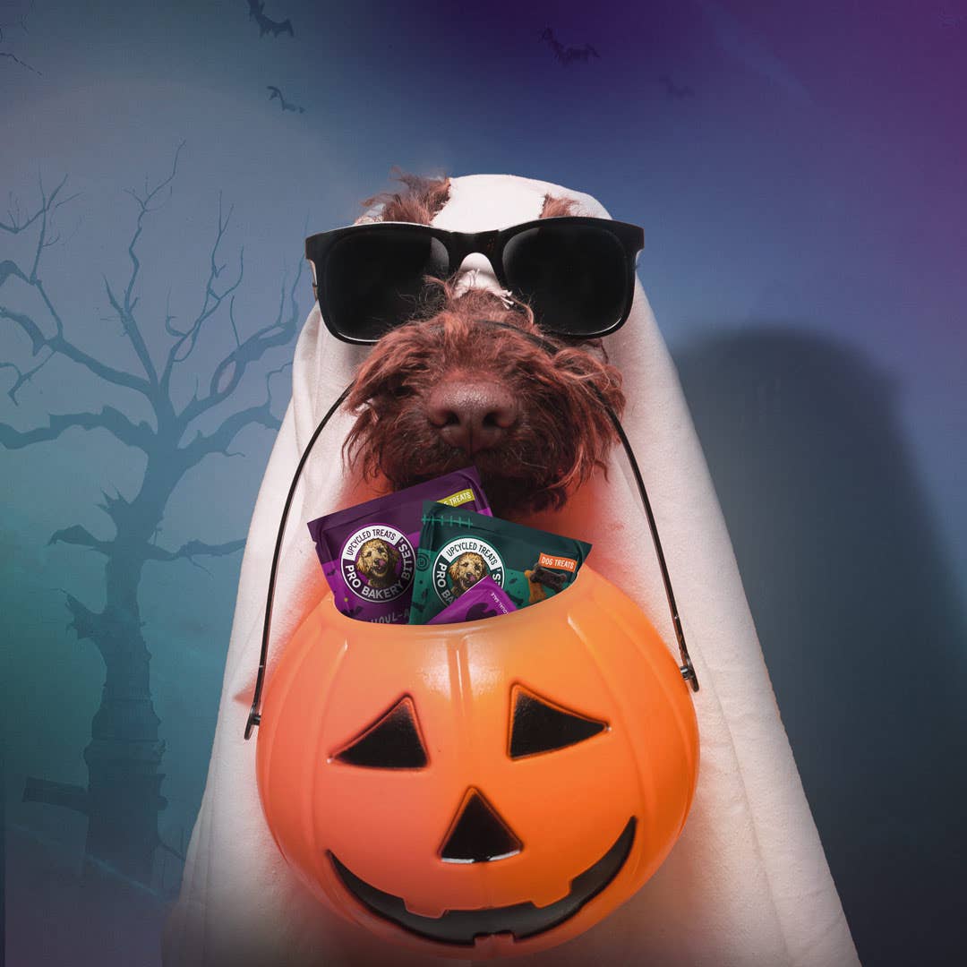 NEW! Tail-O-Ween 1oz. Treat Packs (12 count bag) - Bark & Beyond