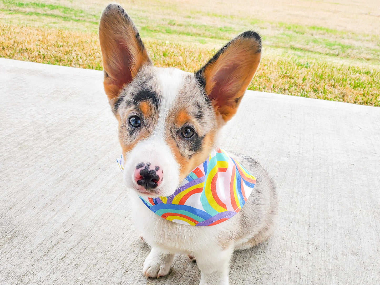 "Happy Sunshine" Dog Bandana