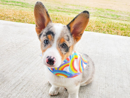 "High Tops" Dog Bandana