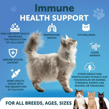 Lysine Powder for Cats, 900 mg per Serving, photo 2 of 7
