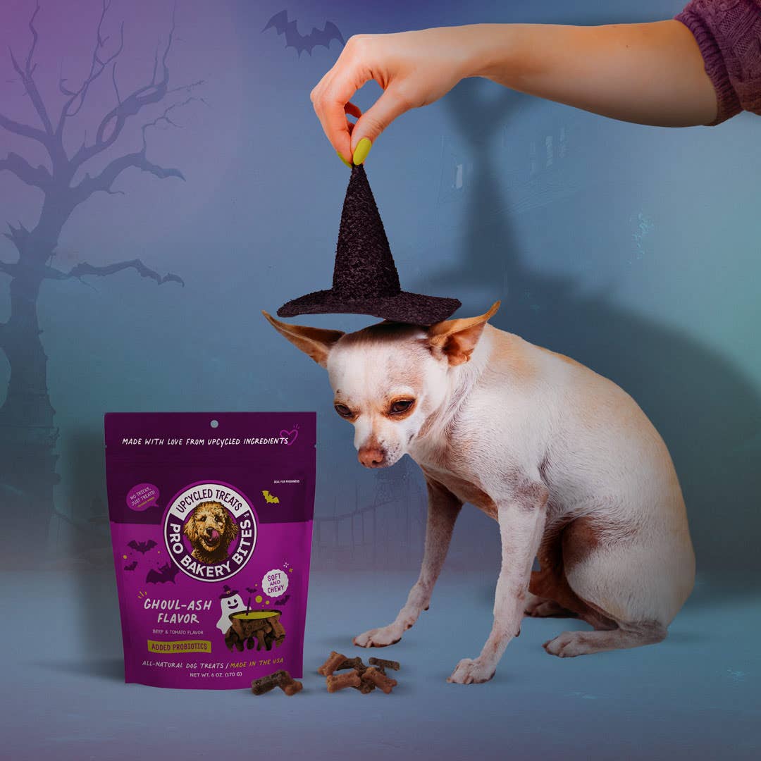 NEW! Halloween Soft & Chewy - Ghoul-ash Flavor - Bark & Beyond