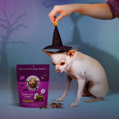 NEW! Halloween Soft & Chewy - Ghoul-ash Flavor - Bark & Beyond