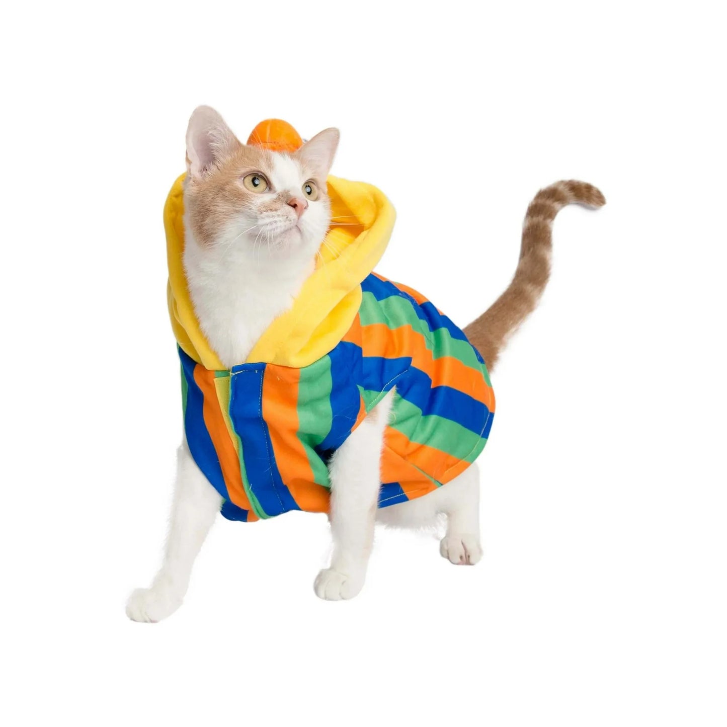 Pet Krewe Sesame Street Bert Dog Costume Halloween Pet Outfit - X-Large Preloved