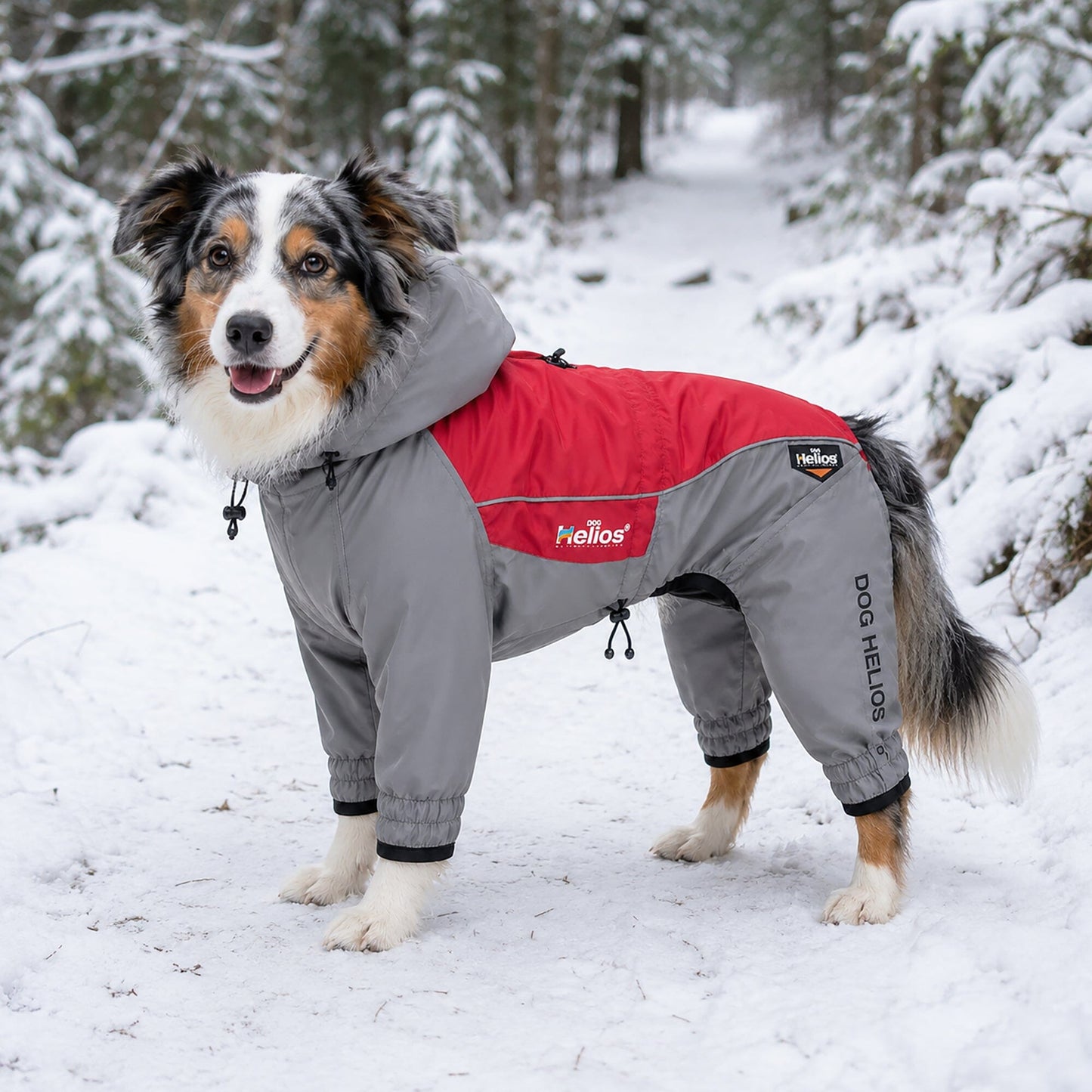 Dog Helios 'Arctic Blast' Full Bodied Winter Dog Coat w/ Blackshark Tech