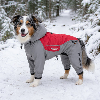 Dog Helios 'Arctic Blast' Full Bodied Winter Dog Coat w/ Blackshark Tech