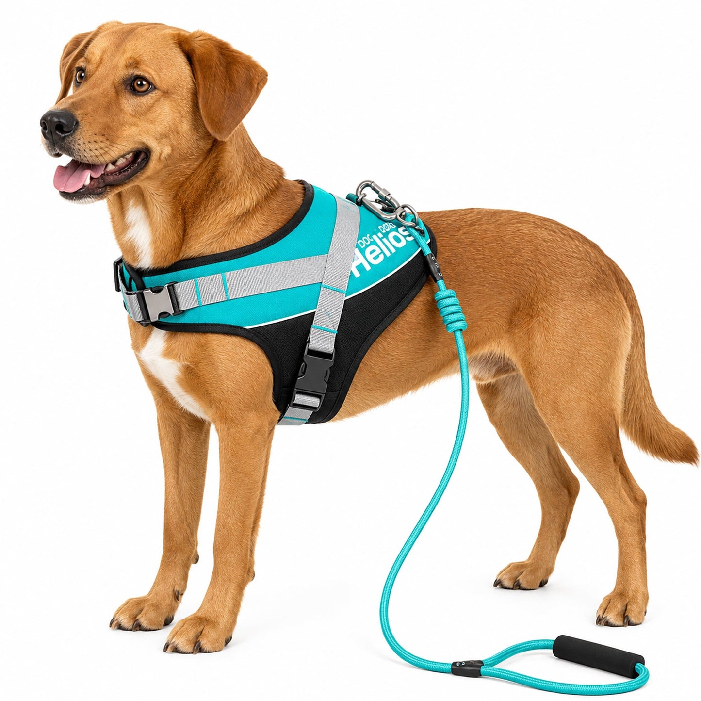Dog Helios ® 'Bark-Mudder' 2-in-1 Reflective and Adjustable Sporty Dog Harness and Leash