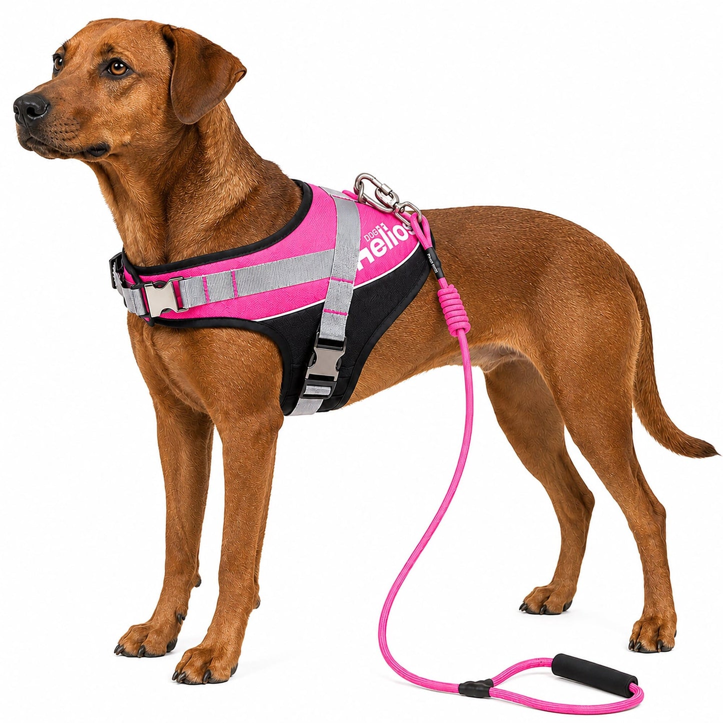 Dog Helios ® 'Bark-Mudder' 2-in-1 Reflective and Adjustable Sporty Dog Harness and Leash