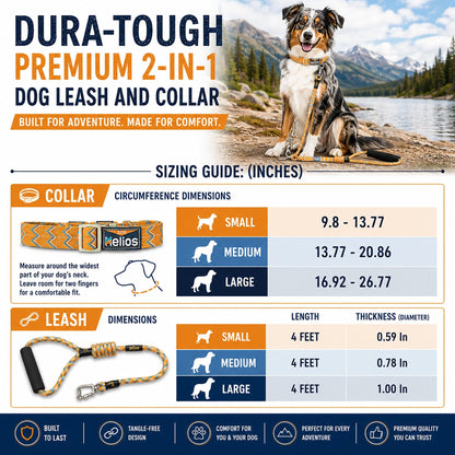 Dog Helios ® 'Dura-Tough' 2-in-1 Reflective Adjustable Fashion Dog Leash and Collar