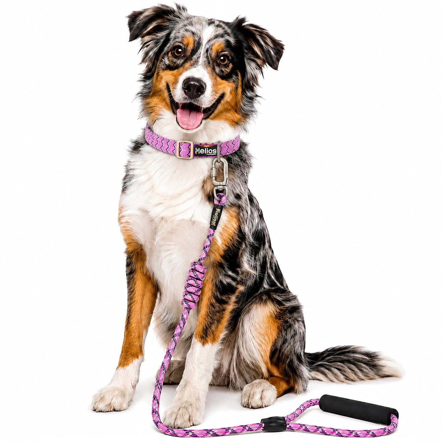 Dog Helios ® 'Dura-Tough' 2-in-1 Reflective Adjustable Fashion Dog Leash and Collar