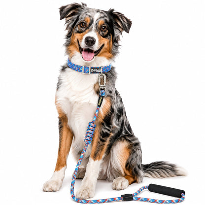Dog Helios ® 'Dura-Tough' 2-in-1 Reflective Adjustable Fashion Dog Leash and Collar
