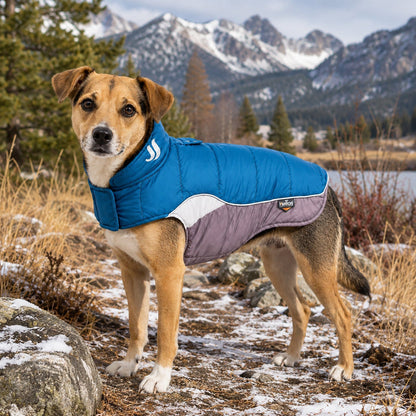 Dog Helios ® Hurricane-Waded Plush 3M Reflective Insulated Winter Dog Coat