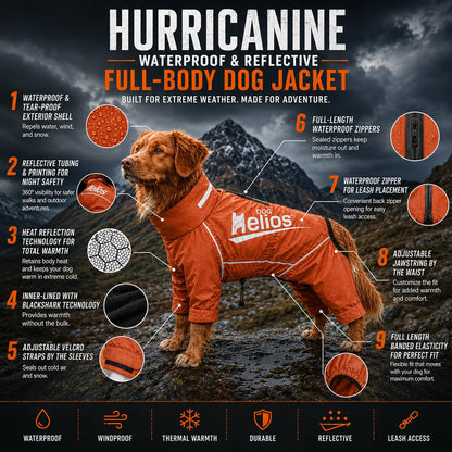 Dog Helios ® 'Hurricanine' Waterproof and Reflective Full Body Dog Coat