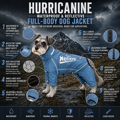 Dog Helios ® 'Hurricanine' Waterproof and Reflective Full Body Dog Coat