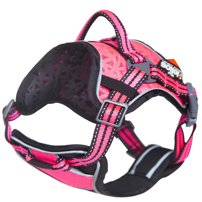 Dog Helios ® 'Journey Wander' Chest Compressive Sporty Adjustable Dog Harness and Leash