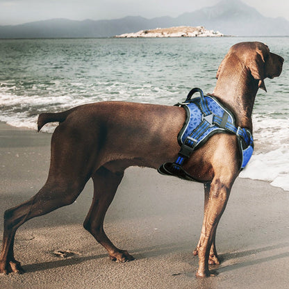 Dog Helios ® 'Journey Wander' Chest Compressive Sporty Adjustable Dog Harness and Leash
