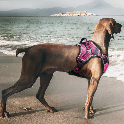 Dog Helios ® 'Journey Wander' Chest Compressive Sporty Adjustable Dog Harness and Leash
