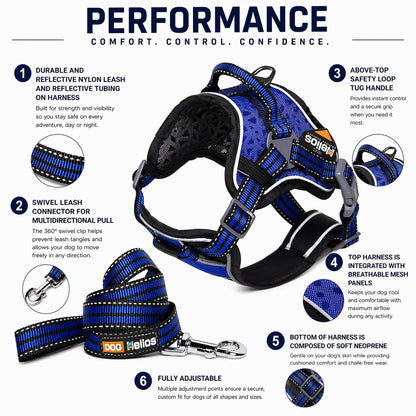 Dog Helios ® 'Journey Wander' Chest Compressive Sporty Adjustable Dog Harness and Leash