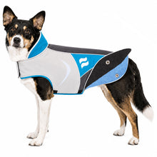 Dog Helios ® Lotus-Rusher 2-in-1 Dual-Removable Layered Performance Dog Jacket
