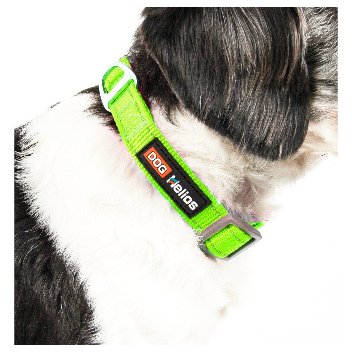 Dog Helios ® 'Neo-Indestructible' 2-in-1 Accordion Dog Collar and Leash