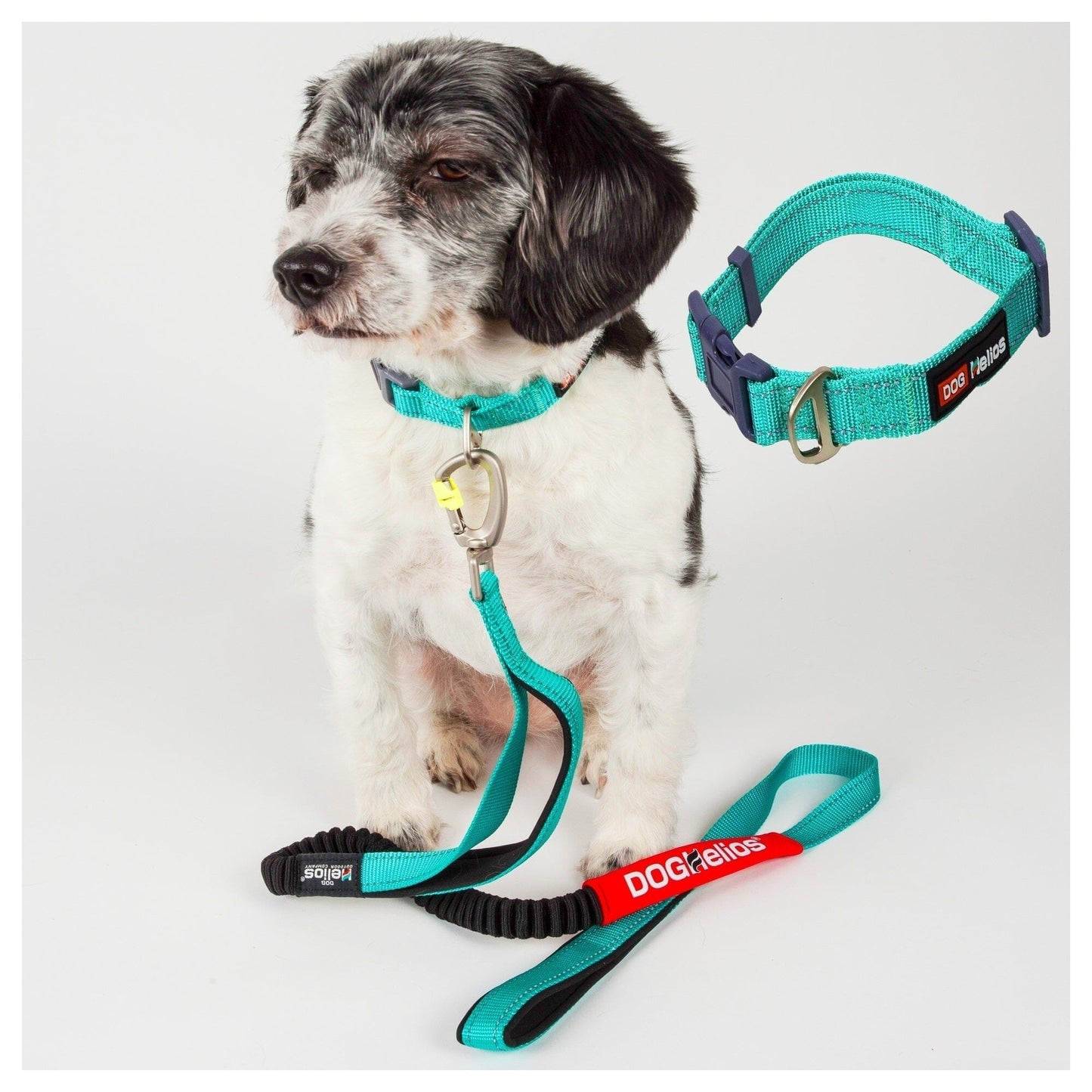 Dog Helios ® 'Neo-Indestructible' 2-in-1 Accordion Dog Collar and Leash